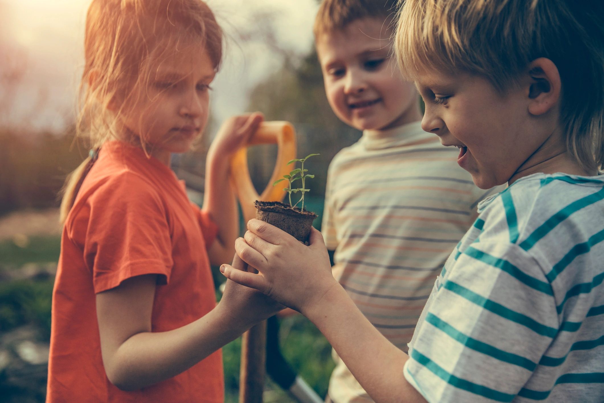 happy children teamwork garden learning